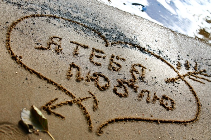 Люблю картинки