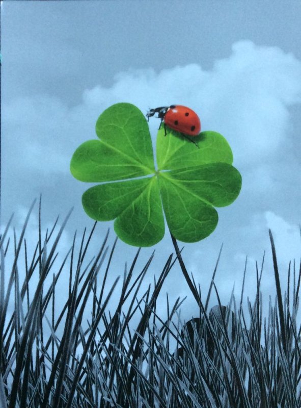 Четырехлистный Клевер на аву