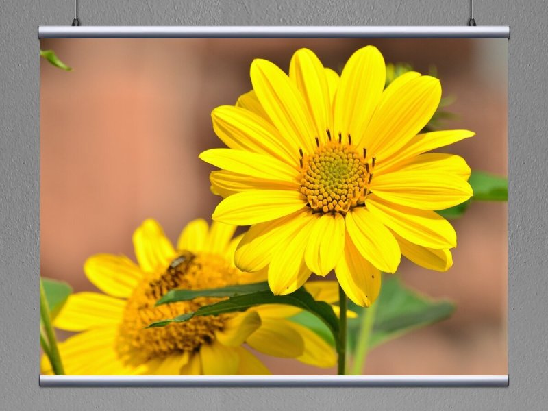 Желтый цвет