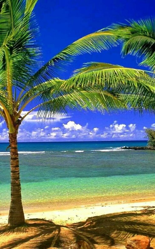 Парадиз остров Карибского моря