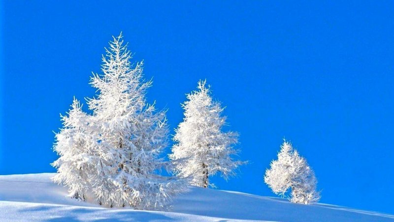 Зимние картинки на рабочий стол