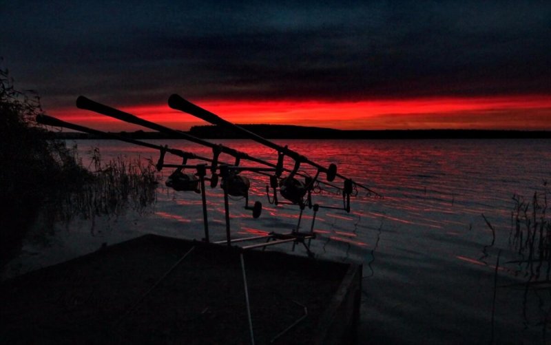 Карпфишинг на рабочий стол