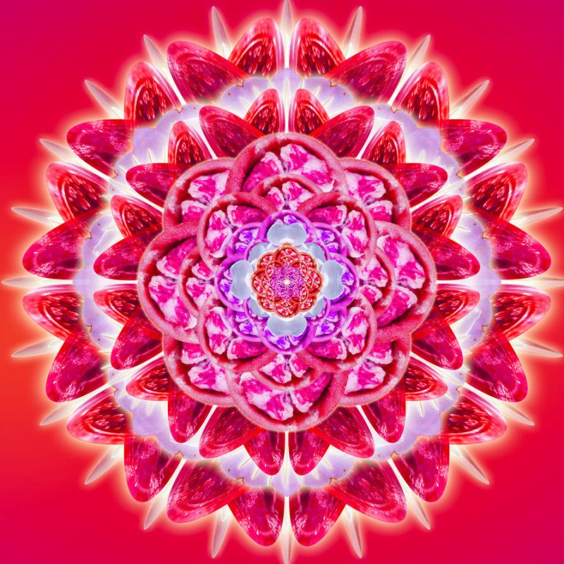 Мандала изобилия Лакшми