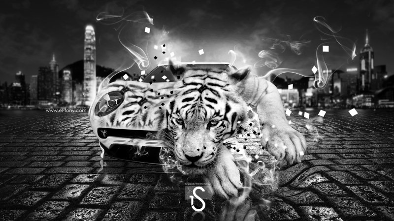 Обои на рабочий стол тигр