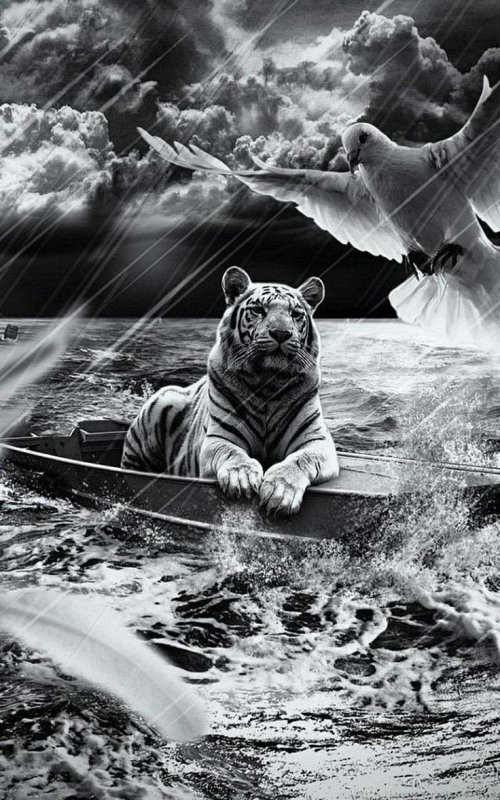 Картинки на телефон на заставку