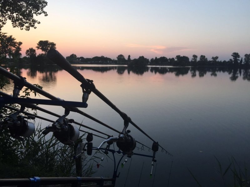 Карпфишинг обои