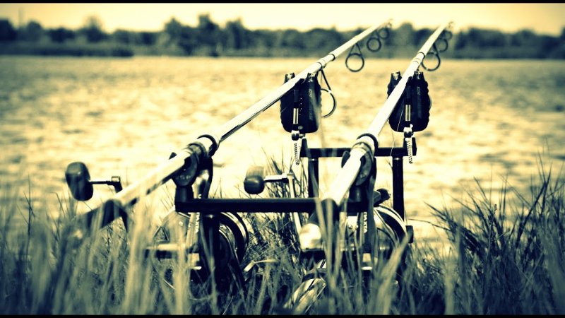 Обои рыбалка