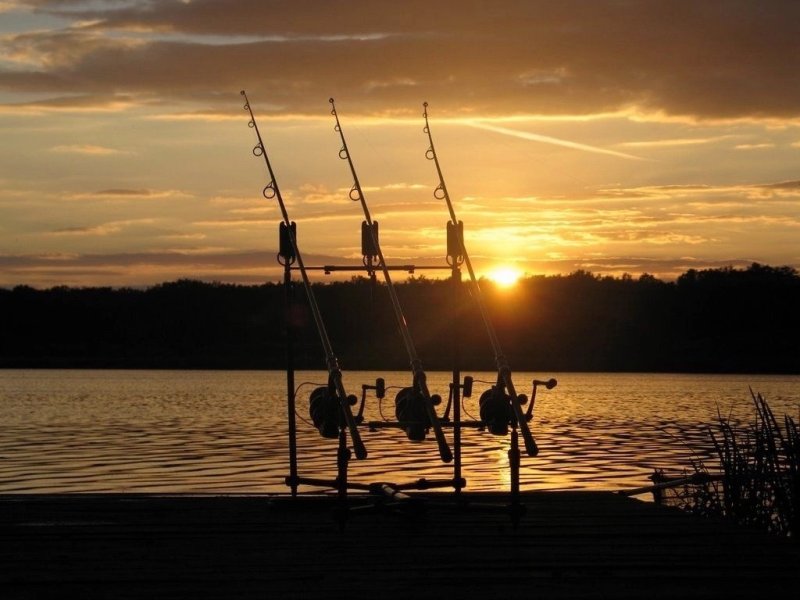 Карповая рыбалка