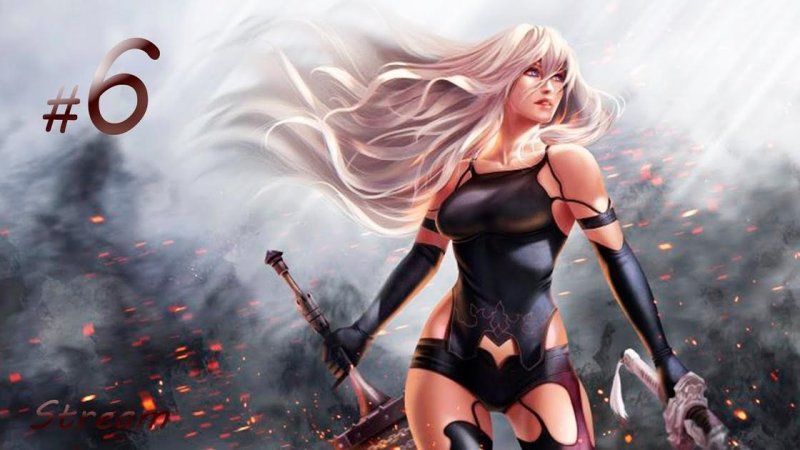 Сакимичан NIER