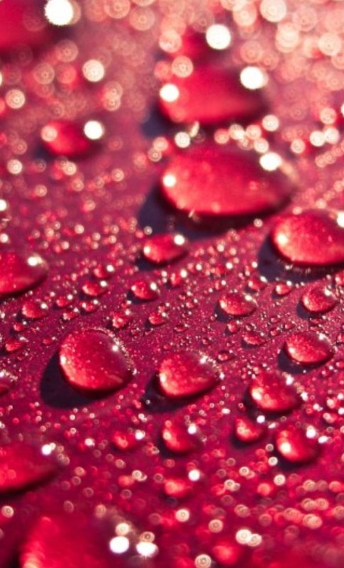 Фон на телефон красивые