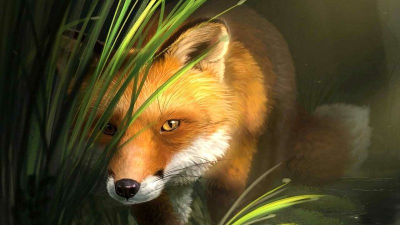 Лисица с зелеными глазами