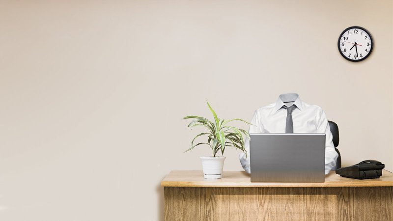 Офисные обои для стен