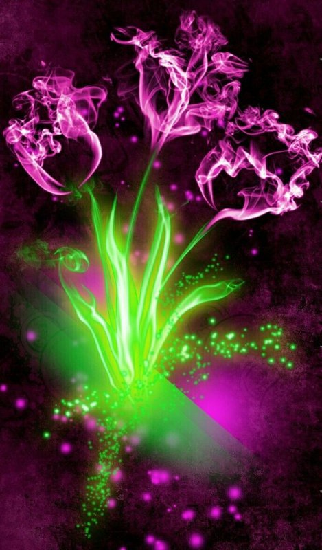 Красивые Неоновые цветы