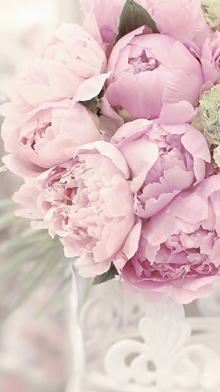 Пиони Пинк (Peony Pink)