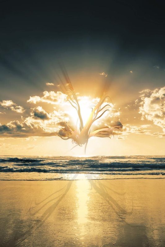 Рассвет светлый