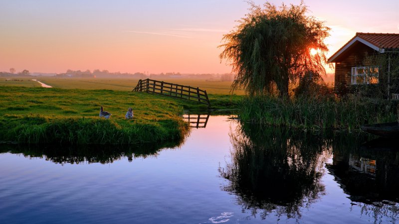 Лето в деревне