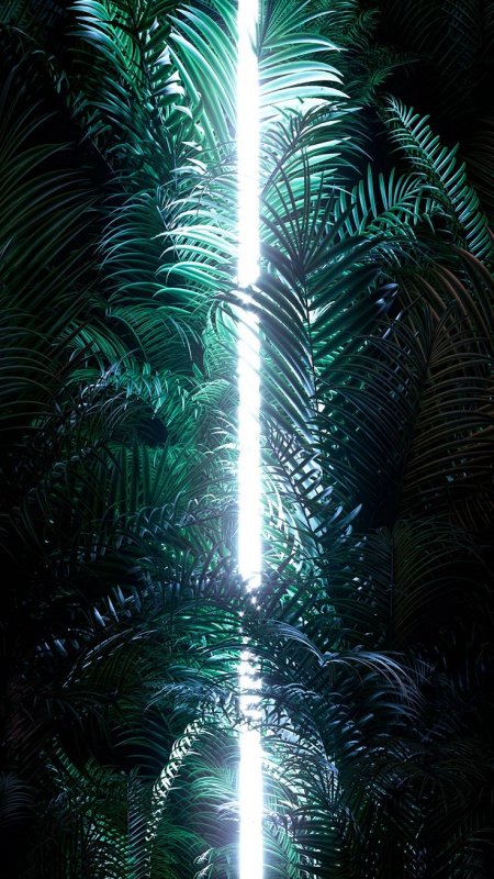 Светящиеся растения