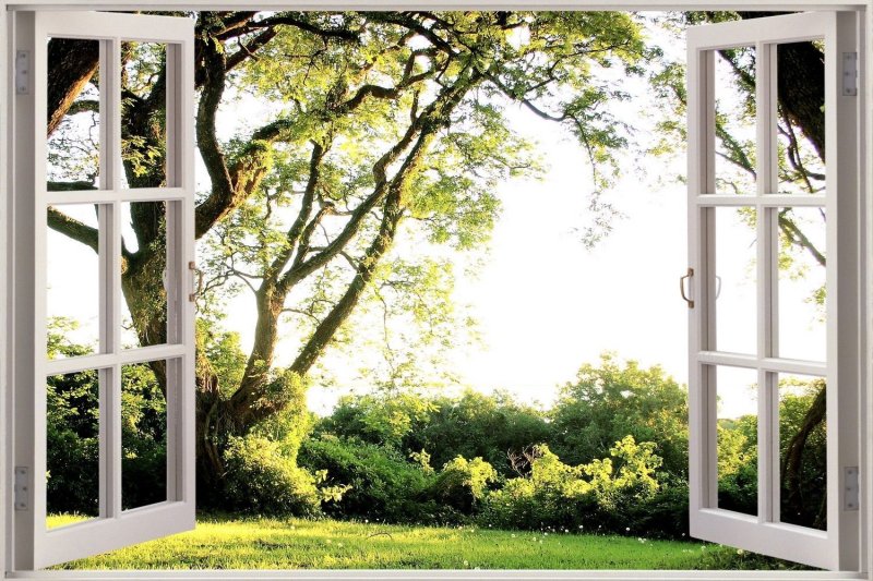 Красивый вид из окна