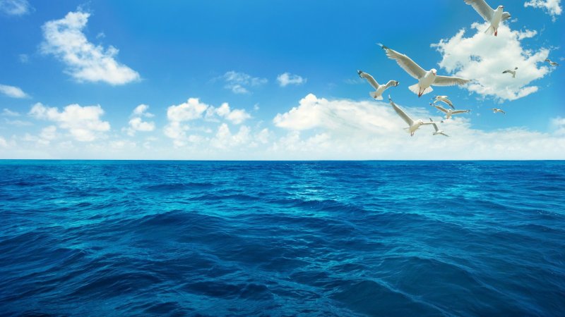 Голубое море