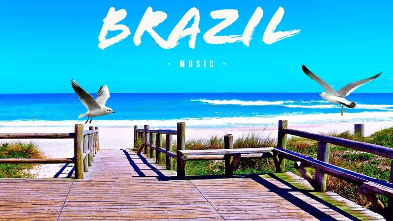 Море пляж Чайки