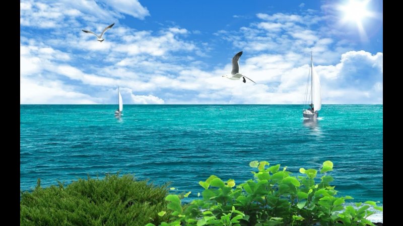 Парусник в море