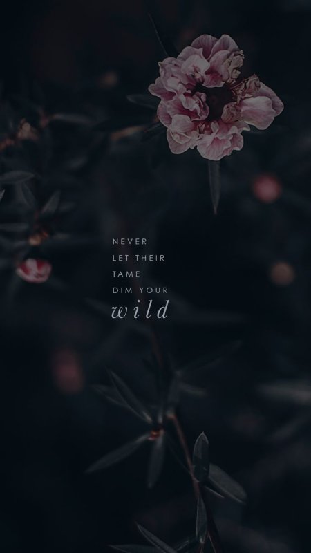 Эстетика цветов на черном фоне