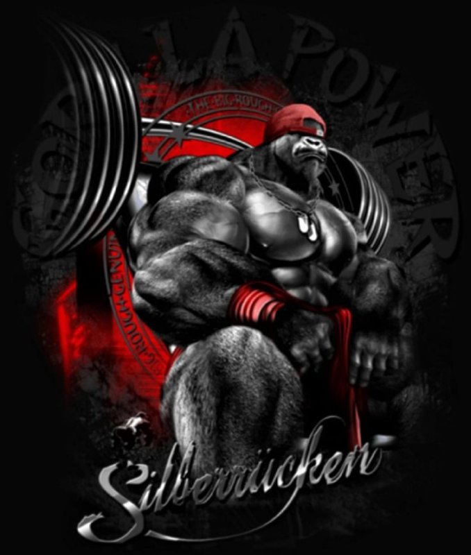 Бодибилдинг заставка