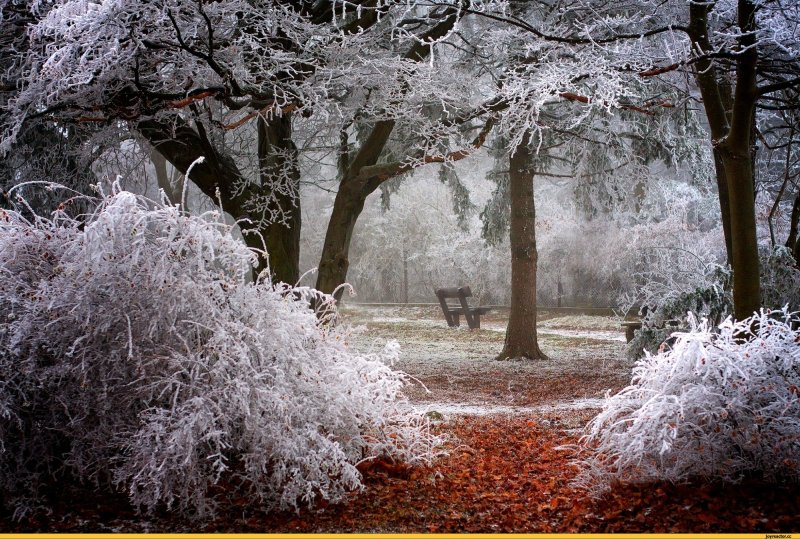 Первый снег