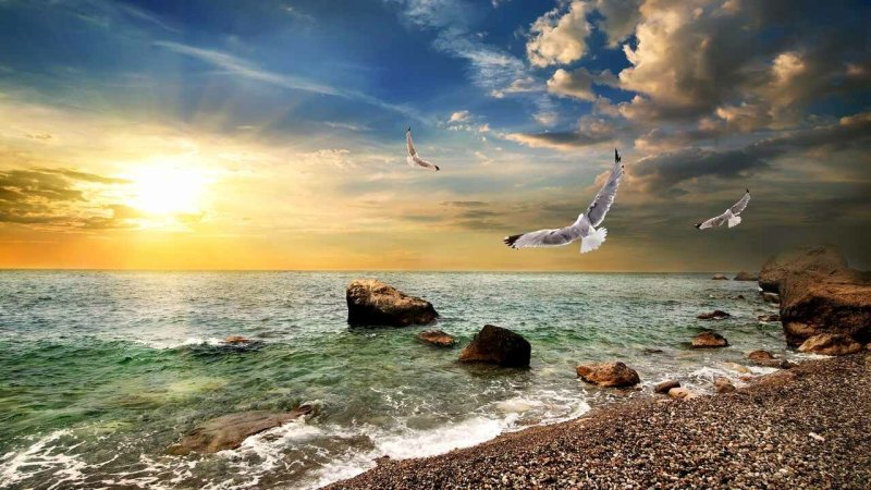 Красивые морские пейзажи