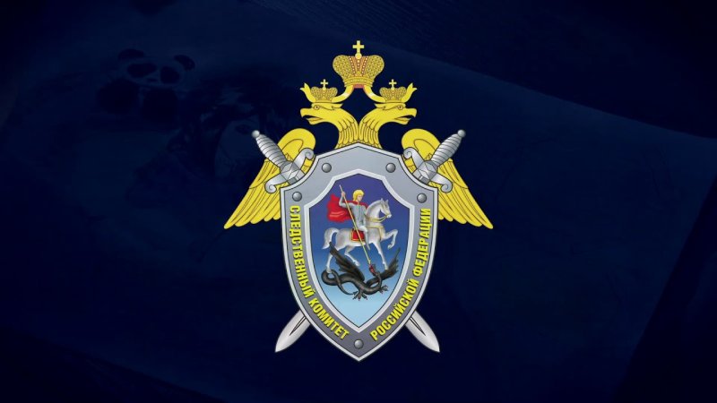 Следственный комитет РФ