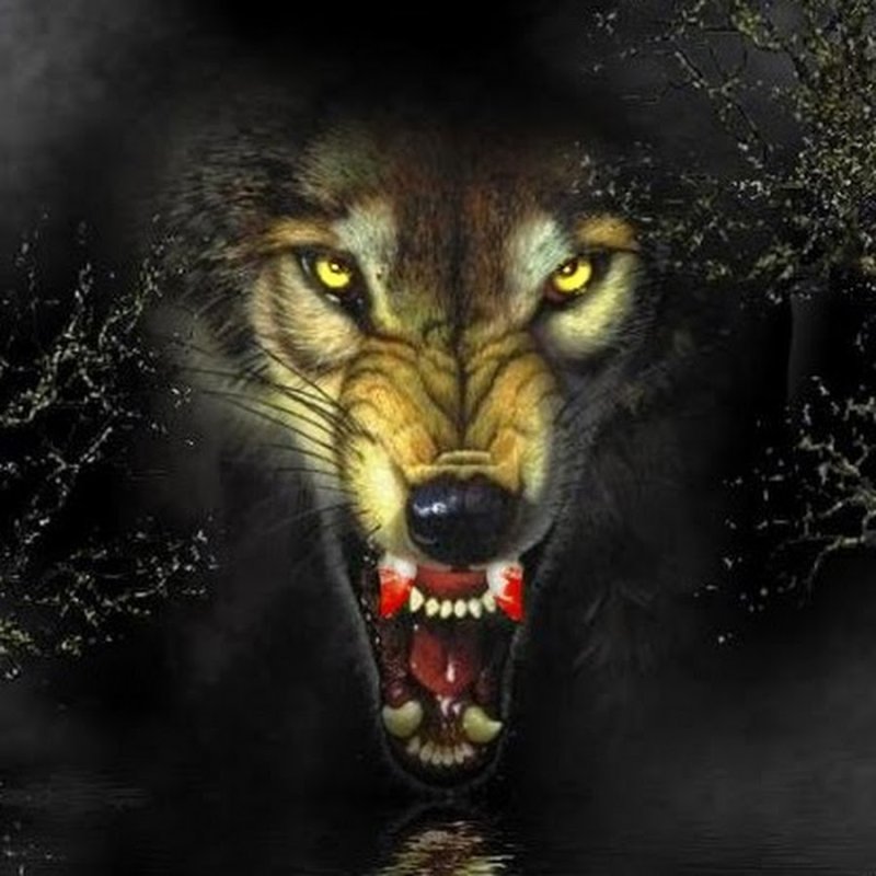 Оскал волка