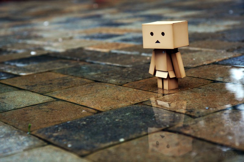 Картонный человечек Danbo
