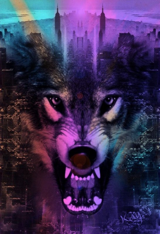 Заставка на телефон волк