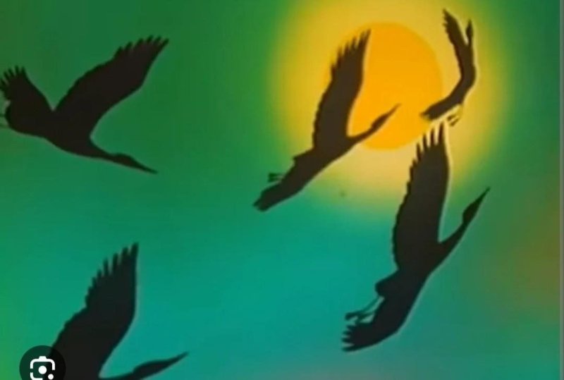 В мире животных телепередача