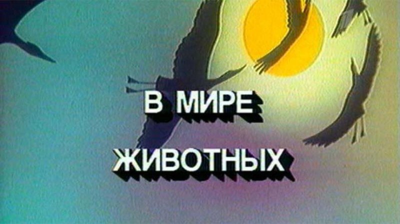 В мире животных телепередача