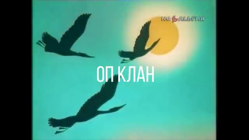 В мире животных 1968