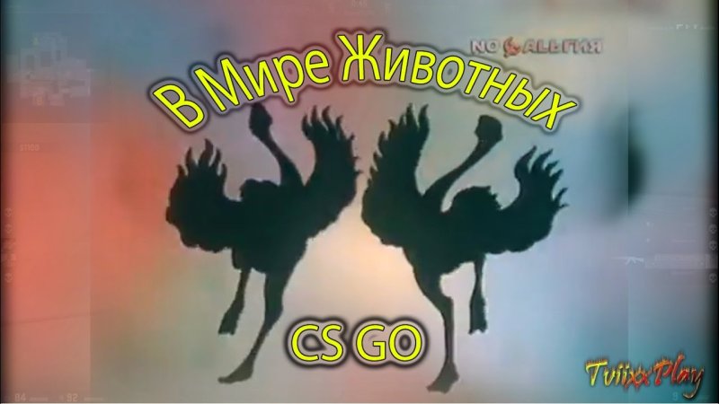 Заставка передачи в мире животных