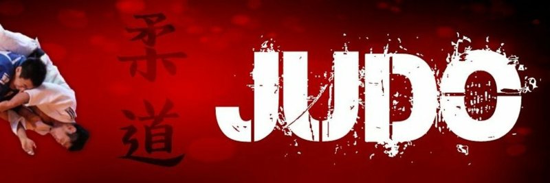 Дзюдо фон
