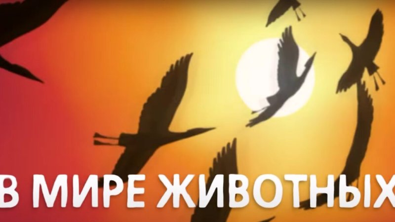 В мире животных картинка заставка
