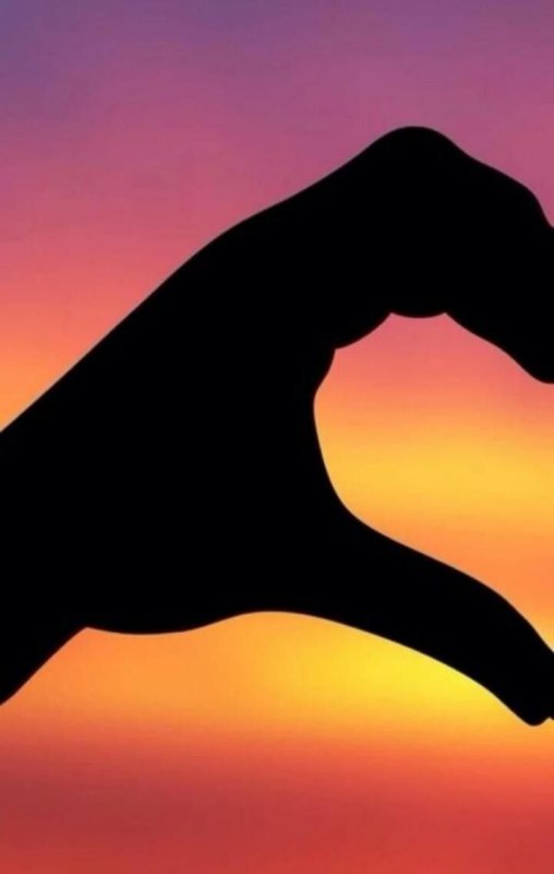 Красивые заставки на аватарку