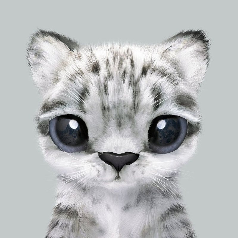 Обои на телефон животные