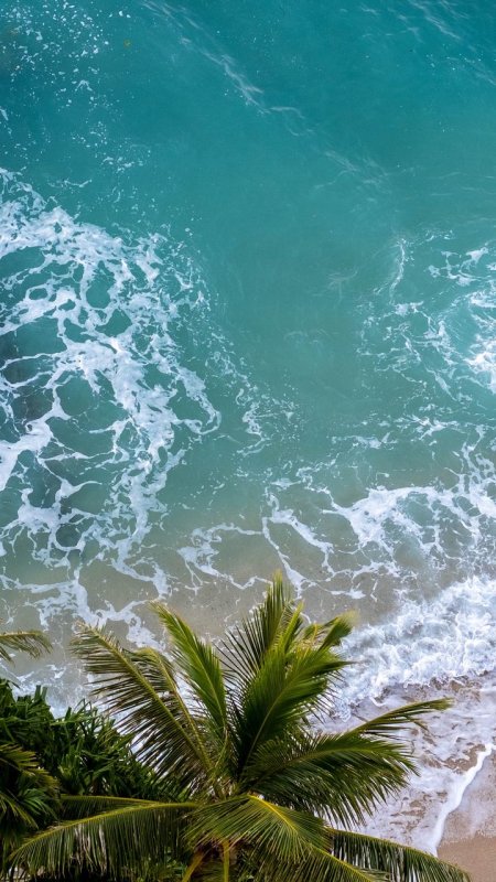 Природа море