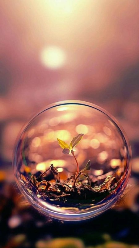 Абстракция природа