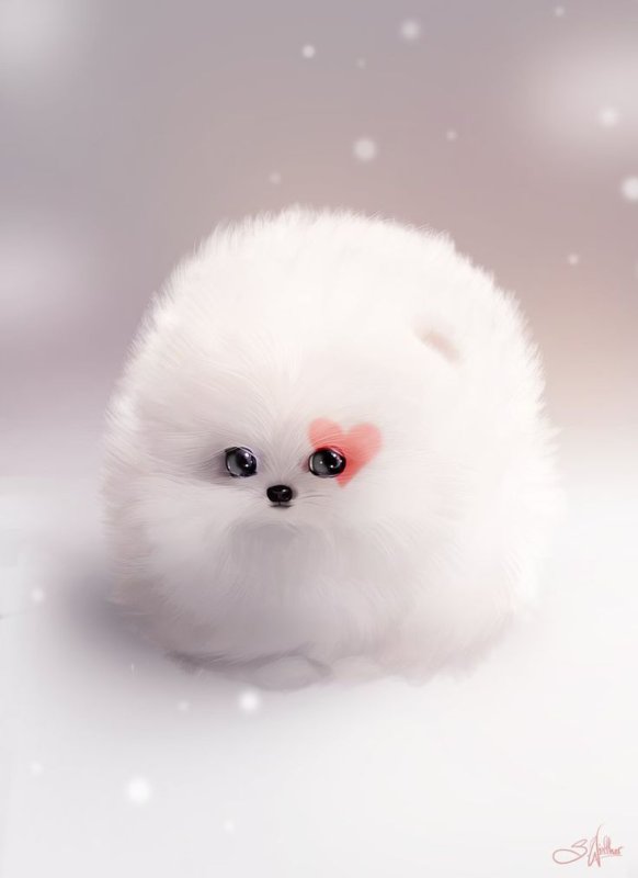 Померанский шпиц Беленький