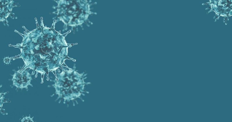 Пандемия ковид 19