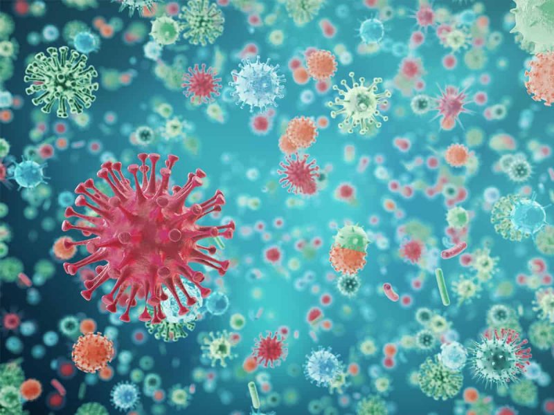 Бактерии фон