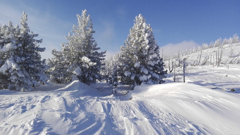 Снежный Шерегеш