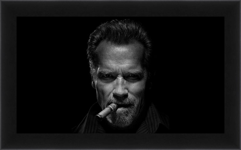 Арнольд Шварценеггер (Arnold Schwarzenegger) Арнольд Шварценеггер