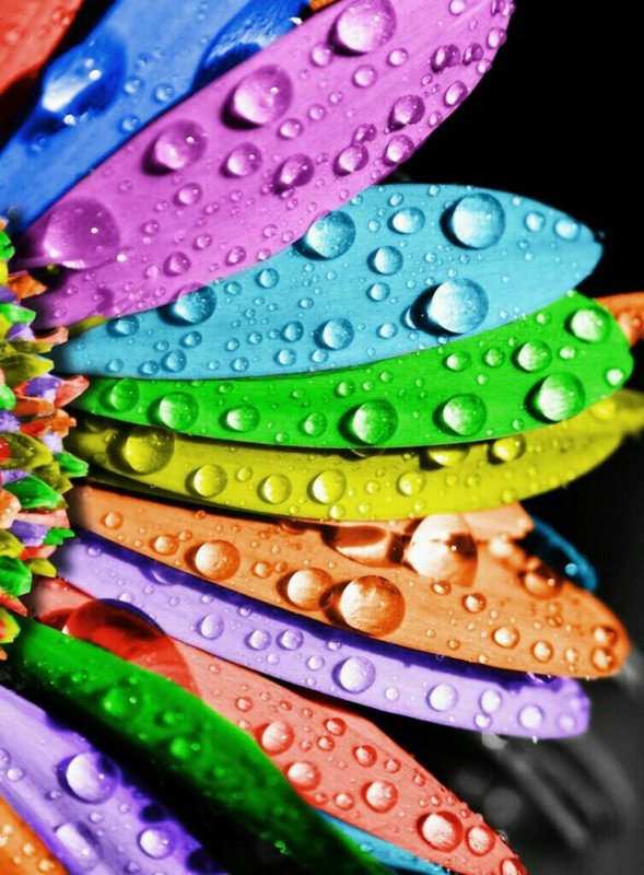 Яркая заставка