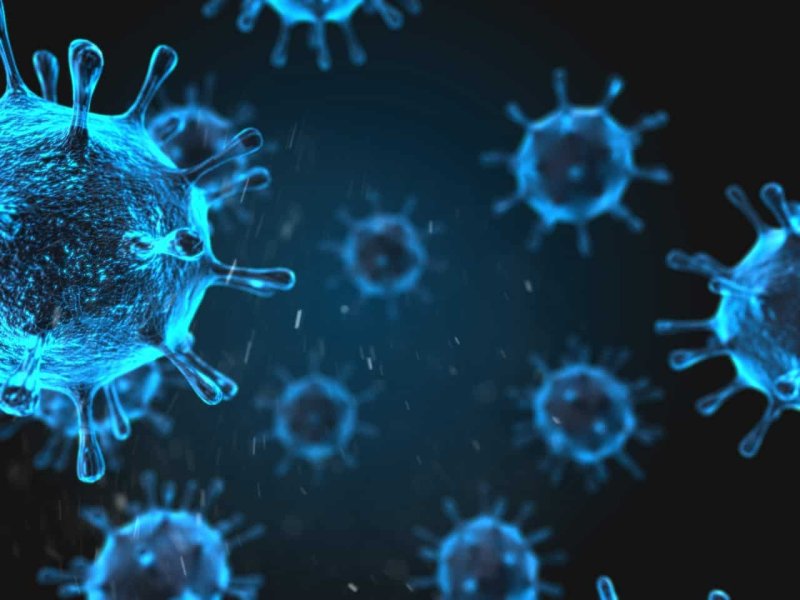 Коронавирус микробиология